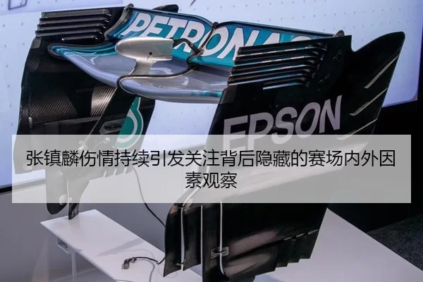 张镇麟伤情持续引发关注背后隐藏的赛场内外因素观察